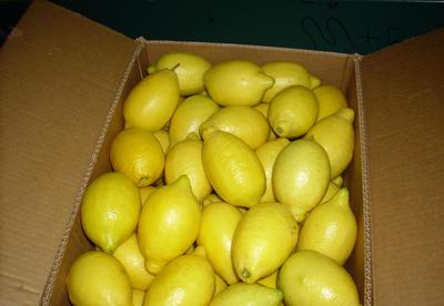 【新西蘭檸檬代理 清關服務代理 北京上海專業(yè)報關行為您服務】價格_廠家_圖片