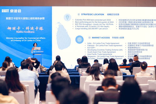 36氪出海 活動 2025北京國際投資貿易洽談會成功舉辦