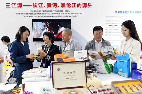 科技引領(lǐng) 創(chuàng)享未來 第二十七屆中國(guó)北京國(guó)際科技產(chǎn)業(yè)博覽會(huì)掠影