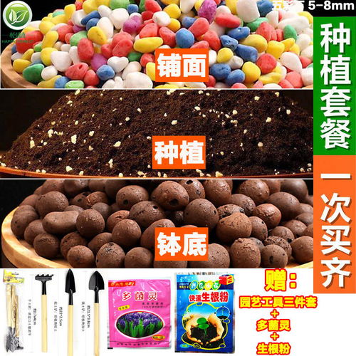 營養土大包花土通用型多肉土養花種菜種植土綠蘿花卉泥土壤多規格