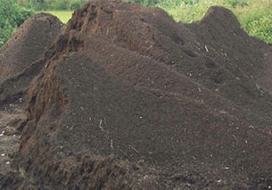 巢湖草炭土廠家 巢湖草炭土批發 巢湖草炭土加工