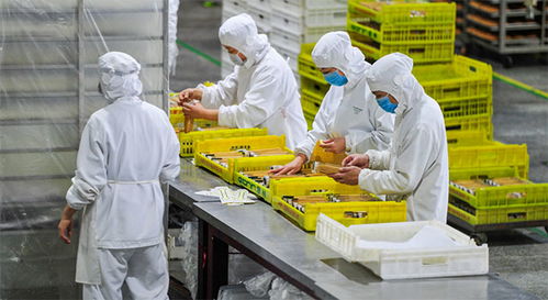 食品廠選擇哪種鍋爐合適 什么是承壓鍋爐 什么是常壓鍋爐