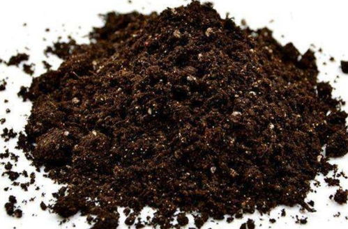 在家制作營養土,加上3種 廢棄物 ,松軟透氣 營養成分多