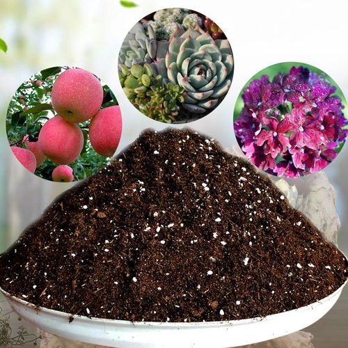 花土營養土種植土通用型多肉營養土綠蘿專用土花泥種菜種花營養土