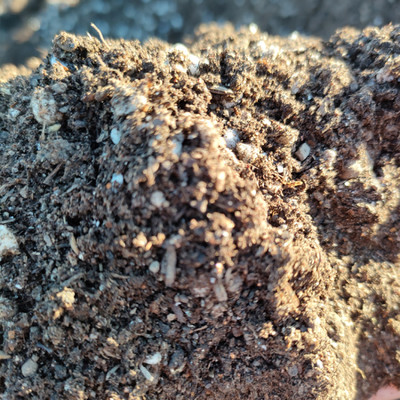 供應散多肉花卉松針土腐殖土栽培扦插基質營養土