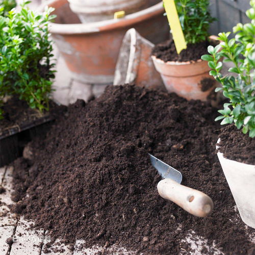 家庭園藝用品肥料種植營養(yǎng)土花卉有機(jī)肥通用型花肥種菜種花營養(yǎng)土