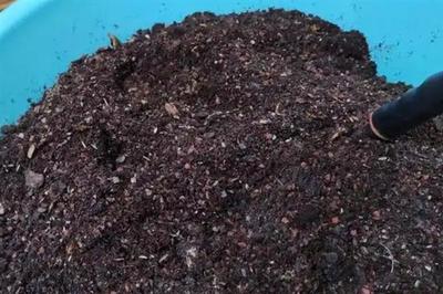 營(yíng)養(yǎng)土如何配制,分為腐葉營(yíng)養(yǎng)土、煤渣營(yíng)養(yǎng)土等
