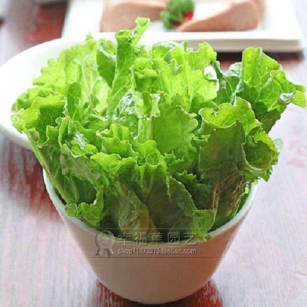 蔬菜盆栽器具和營養(yǎng)土準備