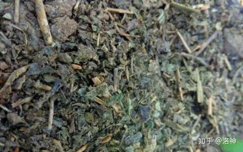 自制6種營(yíng)養(yǎng)土的簡(jiǎn)單方法,效果很好,連肥料錢(qián)都省了