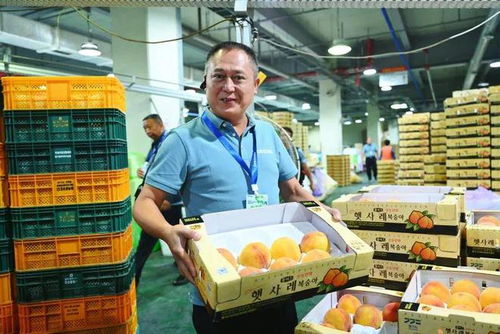 中國(guó) 村長(zhǎng) 訪韓記 打開(kāi)新思路 交流致富經(jīng)