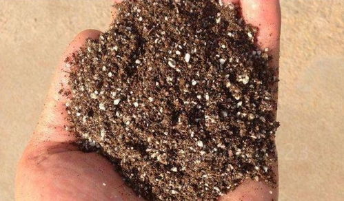 換盆后,這樣做,舊土 秒變 營養(yǎng)土,又省了一波買土錢 土壤