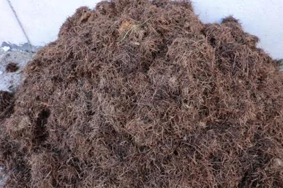 有一種營養(yǎng)土,開春正好用,肥力比普通的要豐厚,養(yǎng)花好處多