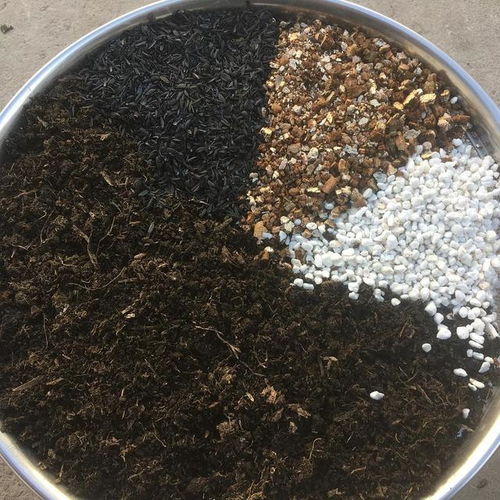 2位高材生一年賣“土”做到行業(yè)老大，月賺4000萬的營養(yǎng)土生意，你看懂了嗎？