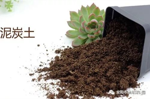花卉營養(yǎng)土的科學(xué)配制方法