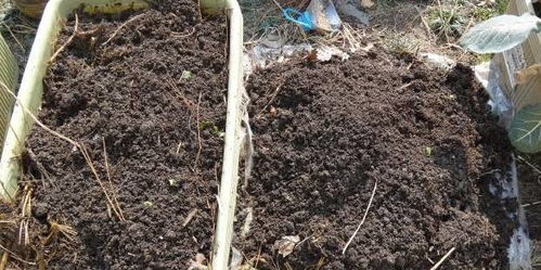 幾個(gè)小動作，讓貧瘠板結(jié)的舊土回魂，勝過高價(jià)營養(yǎng)土