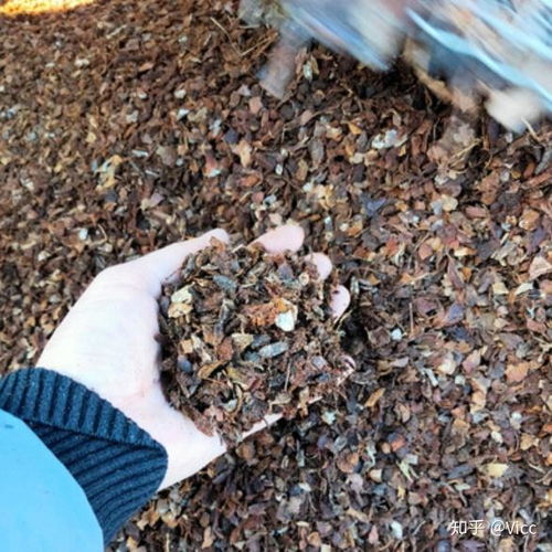 泥炭、椰磚、營(yíng)養(yǎng)土、顆粒土、黑土 常見(jiàn)種植基質(zhì)比較