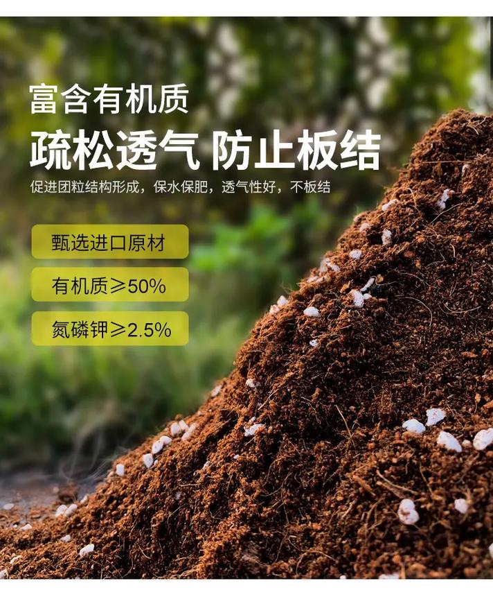 通用營養土 科學配方助力植物茁壯成長