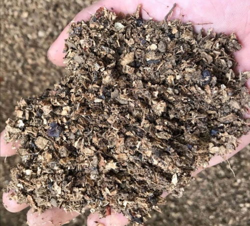 在家自制營養土，松軟透氣養分足，輕松養好各種花