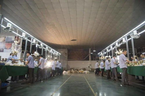 光影新境，幸福為燈 艾摩燈3.0極簡輕奢展廳與大師設計的共鳴